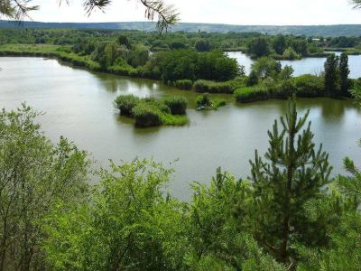Озеро Ли, Вознесенский район, Николаевская область
