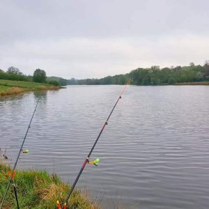 Рыбалка в с. Малополовецкое, ставок «Новенький»