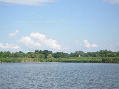 Ставок Николаевка, Петропавловский район, Днепропетровская область