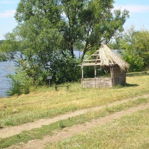 Новогришино, Добропольский район