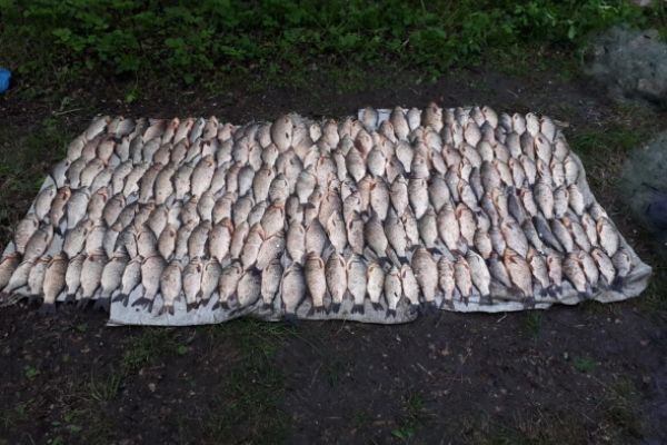 Нарушителями нанесен ущерб почти 9 тыс. грн, - Черкасский рыбоохранный патруль