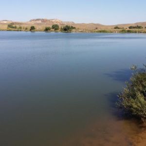 Федоровская плотина, Донецкая область