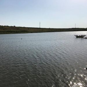 с. Магала, Черновицкая область