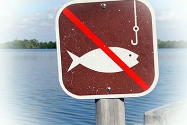 Запрет ловли камбалы