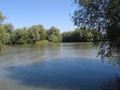 Кучурганский лиман