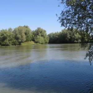 Кучурганский лиман