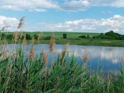 Африкановка