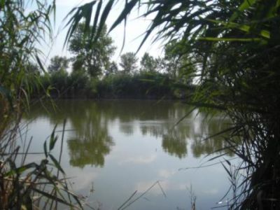 Пуща, у горенского кладбища