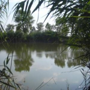 Пуща, у горенского кладбища