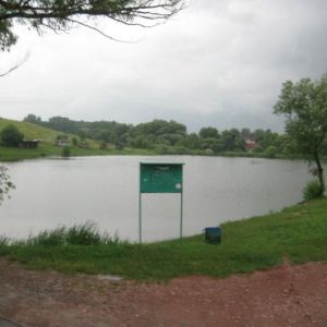 Ставки в урочище Вишеньки