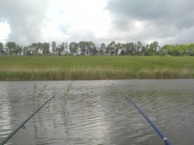 Cобачий (Пристень)