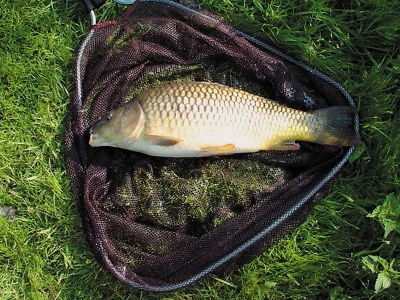 на озере Трофейном