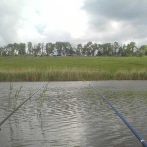 Cобачий (Пристень)