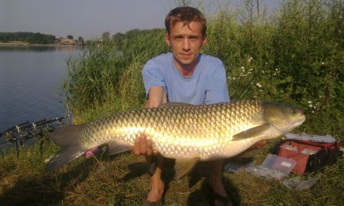 Озеро Сушно Радеховский район. Белый амур вес - 10,12 кг