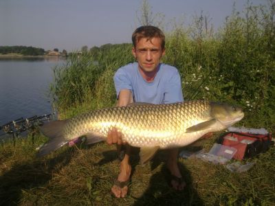 Озеро Сушно Радеховский район. Белый амур вес - 10,12 кг