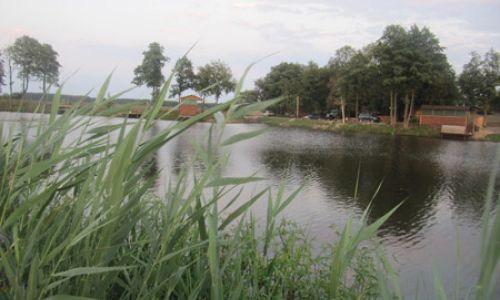 Рыбалка на базе "Рыбалочная")