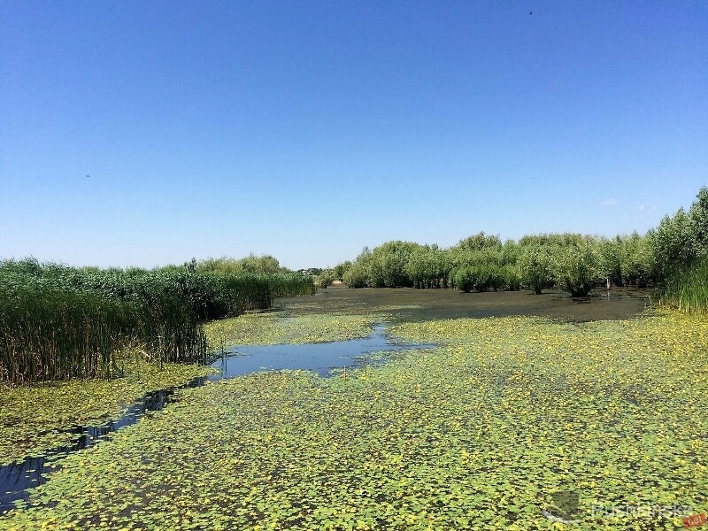 photo 2017 06 30 12 38 10 Копировать