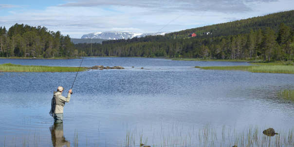 GeiloSummerActivties 2000x1000 bd71b461 8c9c 4f1c 9be7 732baf658f0f