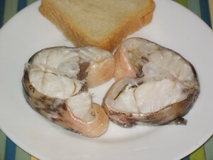 skumbria2